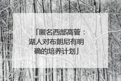 匿名西部高管：湖人对布朗尼有明确的培养计划