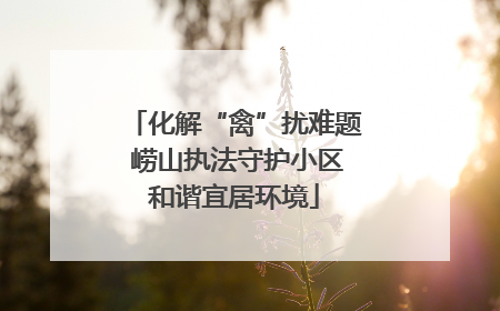 化解“禽”扰难题 崂山执法守护小区和谐宜居环境