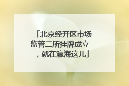 北京经开区市场监管二所挂牌成立，就在瀛海这儿