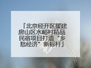 北京经开区援建房山区水峪村精品民宿项目打造“乡愁经济”新标杆