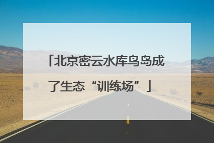 北京密云水库鸟岛成了生态“训练场”