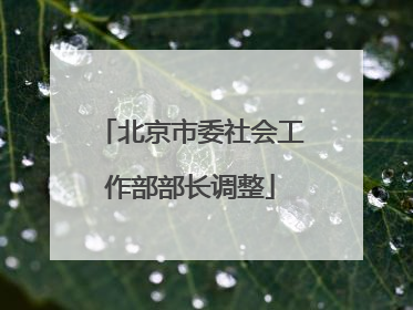 北京市委社会工作部部长调整