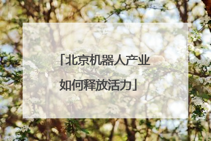 北京机器人产业如何释放活力