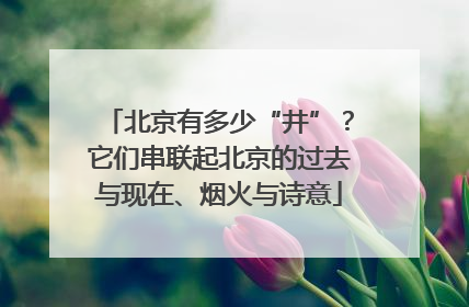 北京有多少“井”？它们串联起北京的过去与现在、烟火与诗意