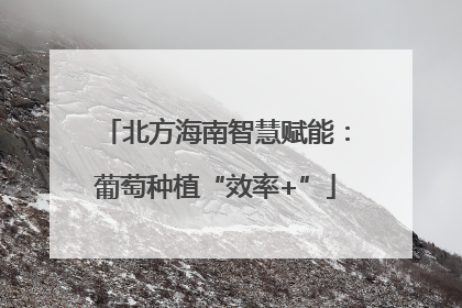 北方海南智慧赋能：葡萄种植“效率+”