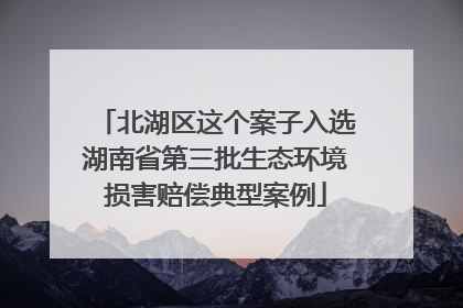 北湖区这个案子入选湖南省第三批生态环境损害赔偿典型案例
