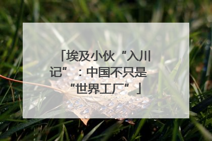 埃及小伙“入川记”：中国不只是“世界工厂”