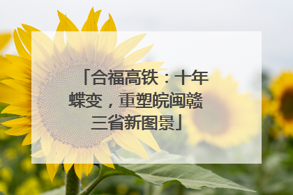 合福高铁：十年蝶变，重塑皖闽赣三省新图景