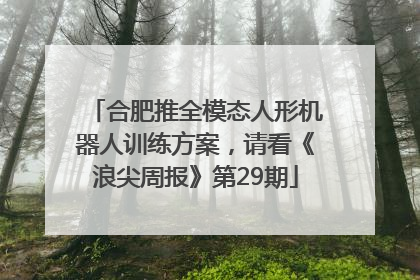 合肥推全模态人形机器人训练方案，请看《浪尖周报》第29期