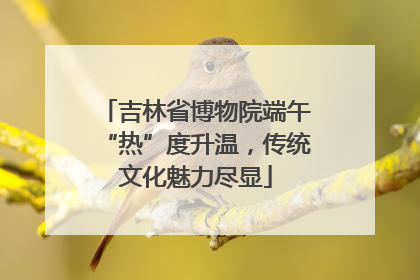 吉林省博物院端午“热”度升温，传统文化魅力尽显