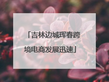 吉林边城珲春跨境电商发展迅速