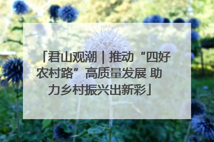 君山观潮｜推动“四好农村路”高质量发展 助力乡村振兴出新彩