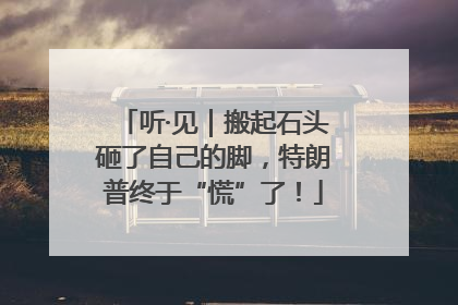 听·见｜搬起石头砸了自己的脚，特朗普终于“慌”了！
