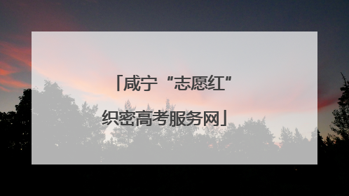 咸宁“志愿红”织密高考服务网