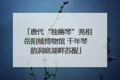 唐代“独幽琴”亮相岳阳楼博物馆 千年琴韵洞庭湖畔苏醒