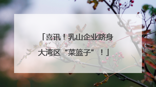 喜讯！乳山企业跻身大湾区“菜篮子”！