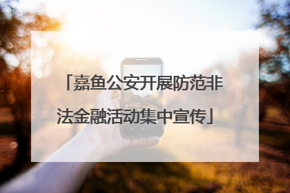 嘉鱼公安开展防范非法金融活动集中宣传