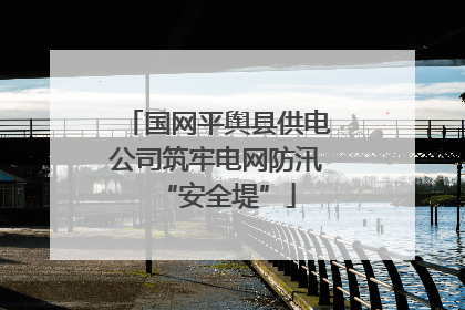 国网平舆县供电公司筑牢电网防汛“安全堤”