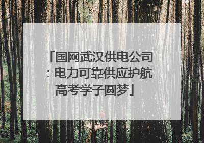 国网武汉供电公司：电力可靠供应护航高考学子圆梦