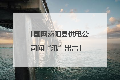 国网泌阳县供电公司闻“汛”出击