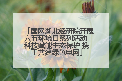 国网湖北经研院开展六五环境日系列活动 科技赋能生态保护 携手共建绿色电网
