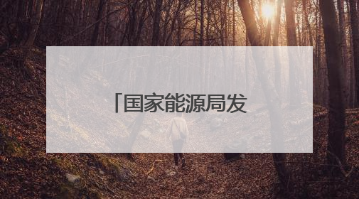 国家能源局发布实施意见！