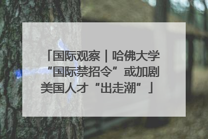国际观察｜哈佛大学“国际禁招令”或加剧美国人才“出走潮”