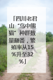 四川老君山“鸟中熊猫”种群数量翻番，繁殖率从15%升至32%