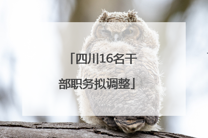 四川16名干部职务拟调整