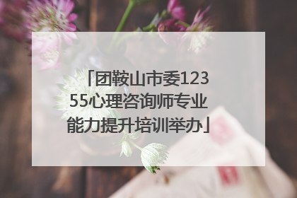 团鞍山市委12355心理咨询师专业能力提升培训举办