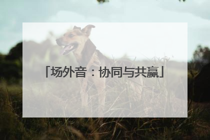 场外音：协同与共赢