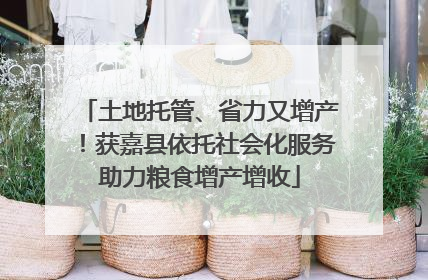 土地托管、省力又增产！获嘉县依托社会化服务助力粮食增产增收