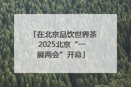 在北京品饮世界茶 2025北京“一展两会”开幕