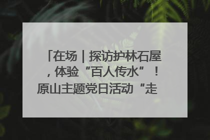 在场｜探访护林石屋，体验“百人传水”！原山主题党日活动“走新”更“走心”