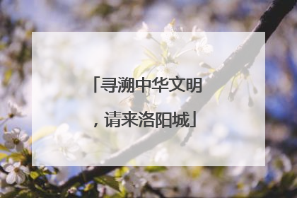 寻溯中华文明，请来洛阳城