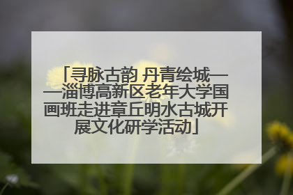 寻脉古韵 丹青绘城——淄博高新区老年大学国画班走进章丘明水古城开展文化研学活动