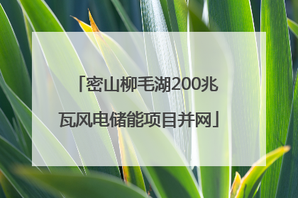 密山柳毛湖200兆瓦风电储能项目并网