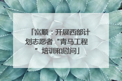 富顺：开展西部计划志愿者“青马工程”培训和慰问