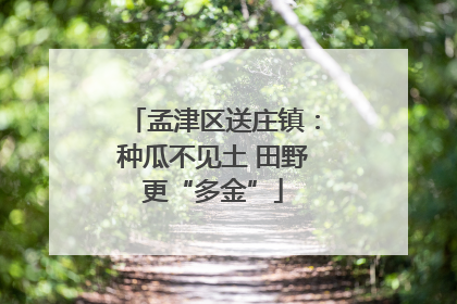 孟津区送庄镇：种瓜不见土 田野更“多金”