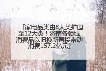 家电品类由8大类扩围至12大类！济南各领域消费品以旧换新直接带动消费157.2亿元