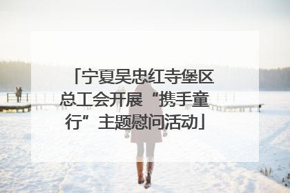 宁夏吴忠红寺堡区总工会开展“携手童行”主题慰问活动