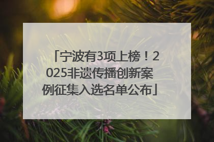 宁波有3项上榜！2025非遗传播创新案例征集入选名单公布