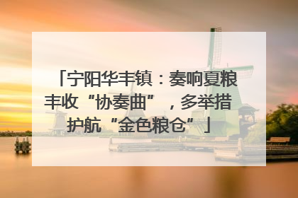 宁阳华丰镇：奏响夏粮丰收“协奏曲”，多举措护航“金色粮仓”