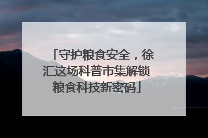 守护粮食安全，徐汇这场科普市集解锁粮食科技新密码