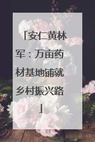 安仁黄林军：万亩药材基地铺就乡村振兴路