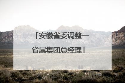 安徽省委调整一省属集团总经理