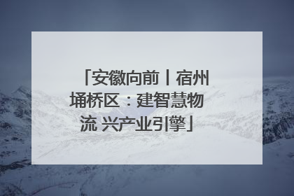 安徽向前丨宿州埇桥区：建智慧物流 兴产业引擎