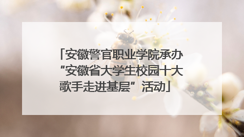 安徽警官职业学院承办“安徽省大学生校园十大歌手走进基层”活动