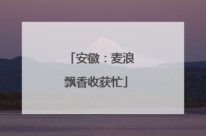 安徽：麦浪飘香收获忙
