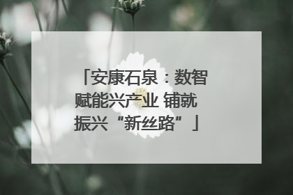 安康石泉：数智赋能兴产业 铺就振兴“新丝路”